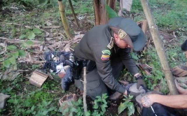 Preservación de flora y fauna silvestre  Preservación de flora y fauna silvestre