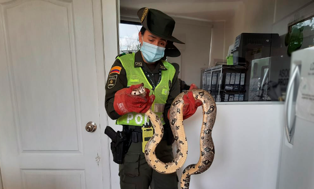 Balance-positivo-en-materia-ambiental-en-el área-metropolitana-de-Pereira Se-desplegaron-actividades-de-prevención-y-control-con-el-fin-de-contribuir-a-la-conservación-del-medio-ambiente