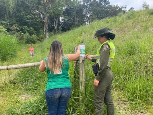 En Pereira son capturados tres hombres por afectar el medio ambiente Dos personas son capturadas en zona protegida del parque arqueológico el Salado Consota
