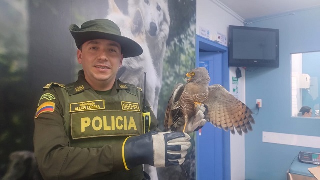 Policía liberando animal