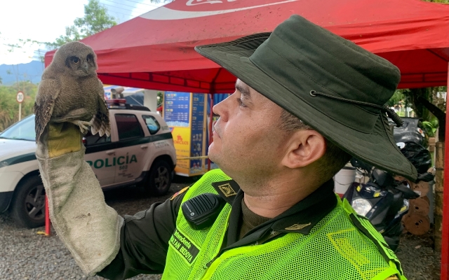 Policía Ambiental y Ecológica  Policía Ambiental y Ecológica