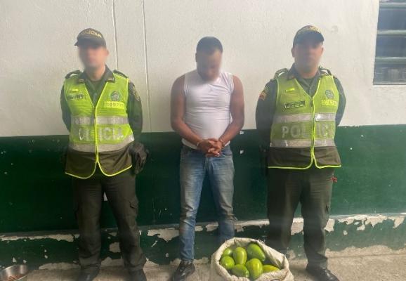 Ofensiva en contra de los diferentes delitos en zonas rurales de la capital risaraldense El hurto en zonas rurales no tiene cabida en el área metropolitana de Pereira