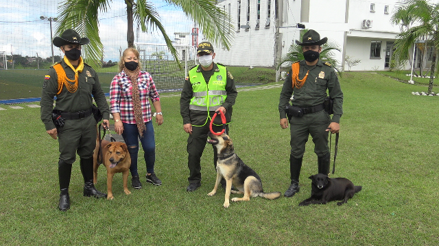 Este-canino-fue-encontrado-en-el-mes-de-Abril-en-condiciones-de-salud-lamentables-pero-hoy-tiene-un-nuevo-hogar