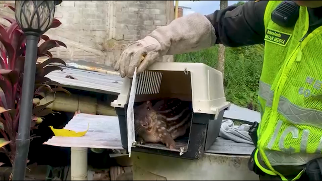 Actividades de prevención y conservación del medio ambiente  Actividades de prevención y conservación del medio ambiente