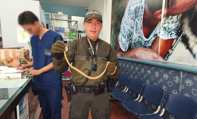 Las diferentes especies son protegidas por nuestra institución en el área metropolitana de Pereira Invitación a la comunidad para proteger los seres vivos que no tienen voz