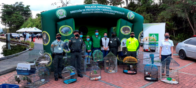 Balance-positivo-en-materia-ambiental-en-el área-metropolitana-de-Pereira Se-desplegaron-actividades-de-prevención-y-control-con-el-fin-de-contribuir-a-la-conservación-del-medio-ambiente