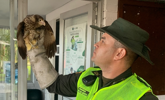 Actividades de prevención  Actividades de prevención