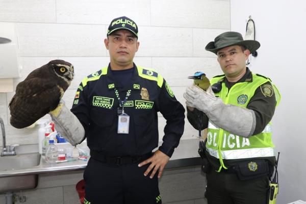 La Policía Nacional protege los animales  La Policía Nacional protege los animales