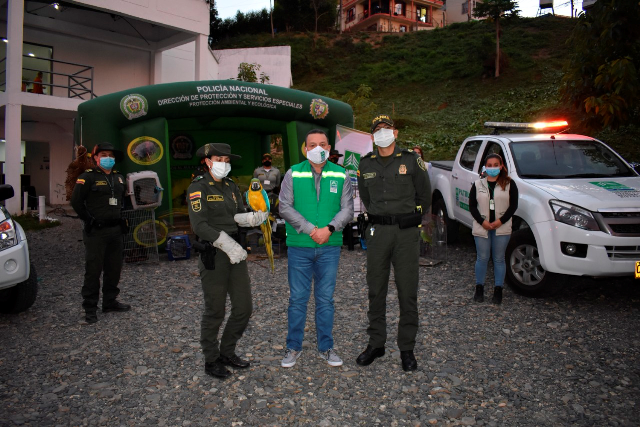 Operativos de control a la fauna silvestre en el área metropolitana de Pereira Tu-casa-no-es-mi-casa-mi-casa-es-el-bosque