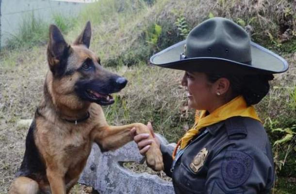 Guía canino Guía canino