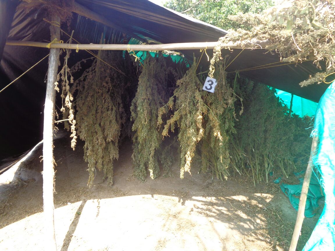 Policía Antinarcóticos destruye dos centros de acopio y un laboratorio para el procesamiento de cocaína y marihuana 