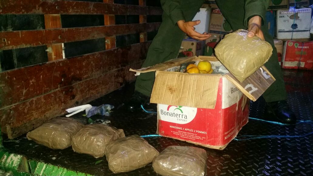 Cayó cargamento de marihuana tipo " creepy"