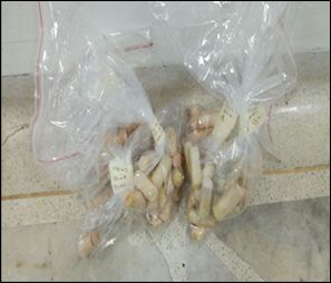 Capturan-a-dos-personas-cuando-llevaban-1.250-gramos-de-heroína-en-su-abdomen Capturan-a-dos-personas-cuando-llevaban-1.250-gramos-de-heroína-en-su-abdomen