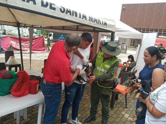 Jornada de atención y vacunación en animales Jornada de atención y vacunación en animales