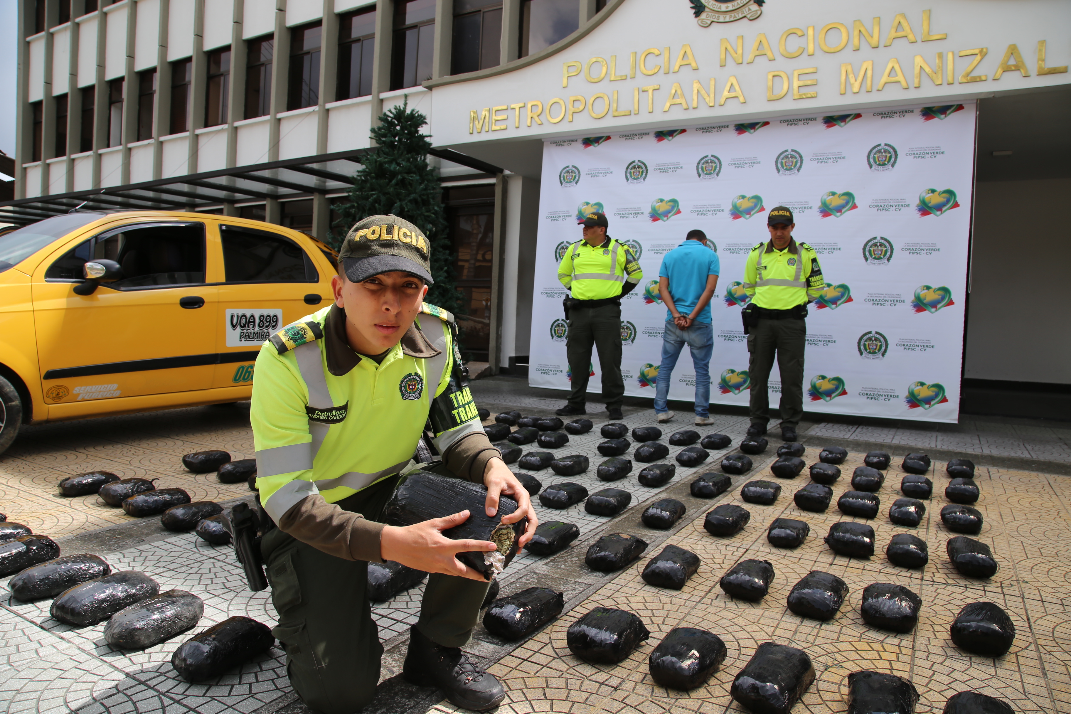 Policía incauta 21 mil dosis de marihuana Seccional de Tránsito y Transporte incauta 21 mil dosis de marihuana