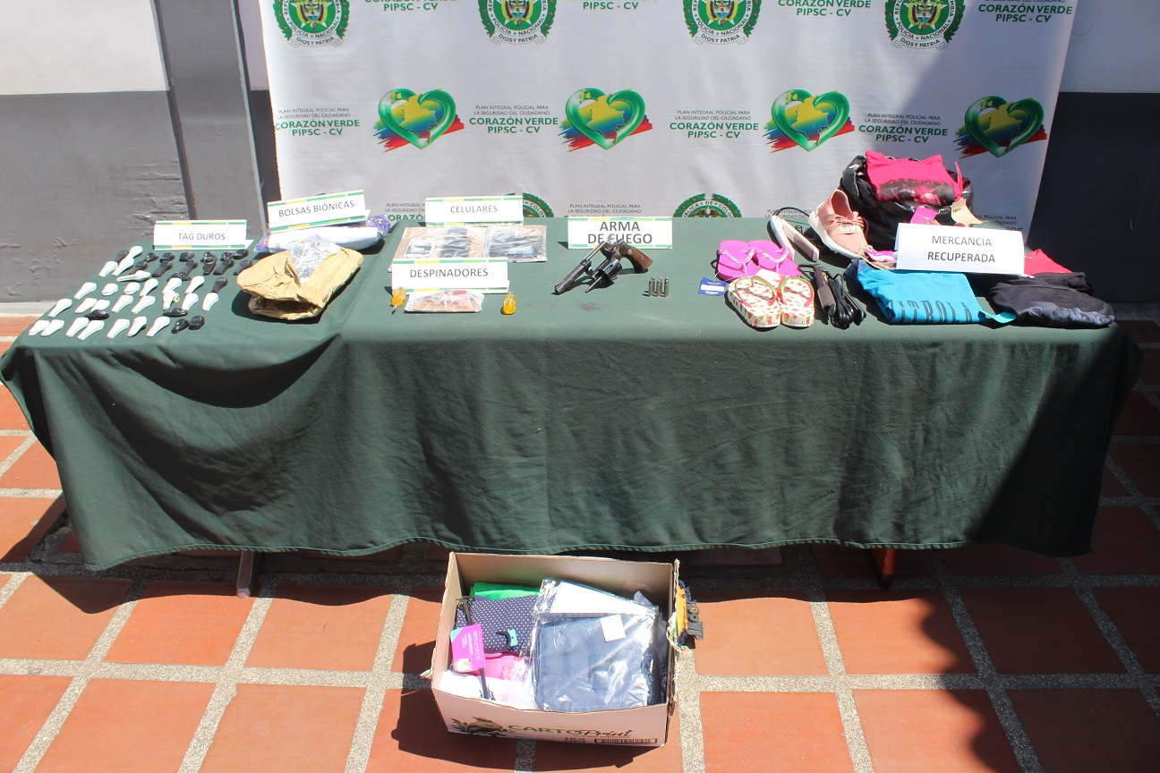 Cae-estructura-dedicada-al-hurto-hormiga