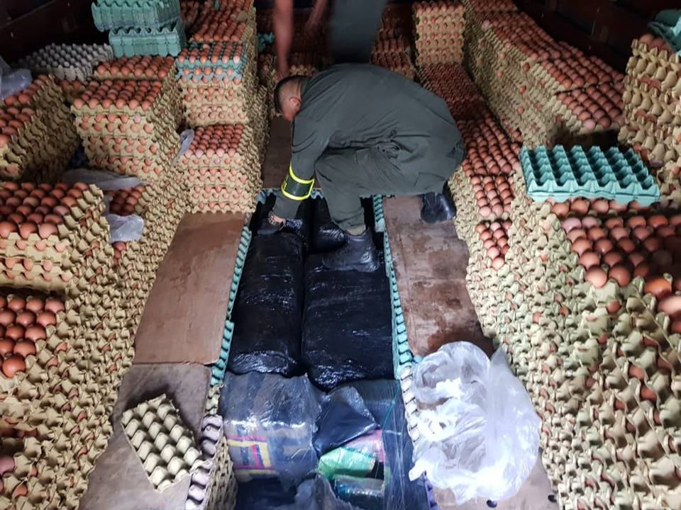 incautacion de 900 kilos de marihuana en panales de huevos policia valle incautacion-900-kilos-marihuana-panales-huevos-policia-valle
