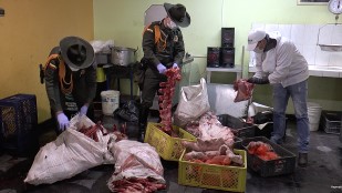 Media tonelada de carne incautada por carabineros  Policía ubicó negocio clandestino de expendió de carnes