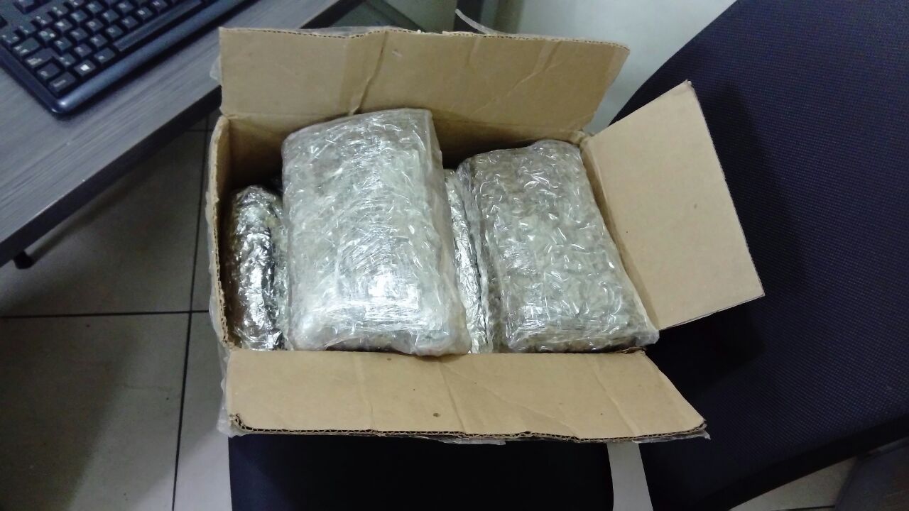 incautacion-de-marihuana-tunja  incautacion-de-marihuana