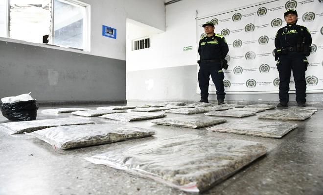 incautacion-de-mas-de-50-mil-dosis-de-marihuana-ocultas-en-encomiendas