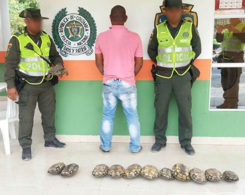 Hicoteas-rescatadas- y-persona-capturada Hicoteas-rescatadas- y-persona-capturada