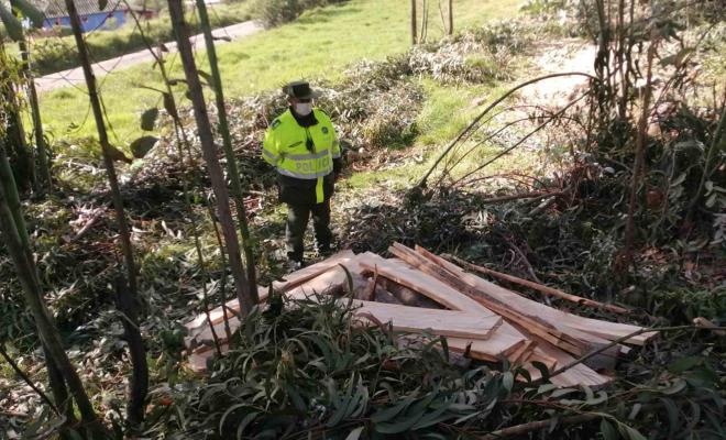 Incautación de madera en el municipio de Samacá Incautación de madera en el municipio de Samacá
