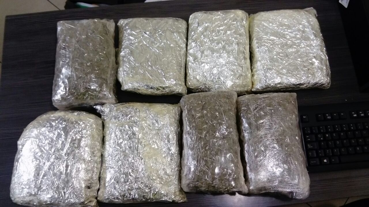 incautacion-marihuana-transito  incautacion-marihuana