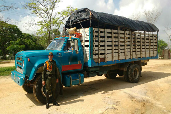 Semovientes-y-camión-incautados.  Semovientes-y-camión-incautados.