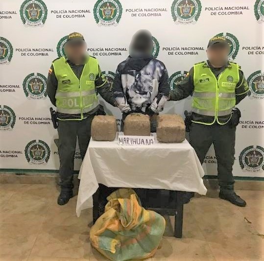 Marihuana incautada  Marihuana incautada