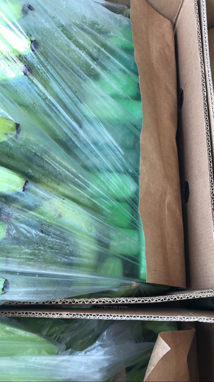 656-kilos-de-cocaína-en-el-puerto-marítimo-de-Santa-Marta  656-kilos-de-cocaína-en-el-puerto-marítimo-de-Santa-Marta