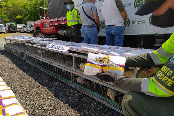 En jaulas de pollos de cría hallamos 1.547 paquetes de marihuana 1.547 paquetes de marihuana incautados encaletado en jaulas de pollos