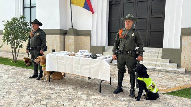 Incautan 11 kilos de marihuana en empresas de mensajería de Bucaramanga Incautan 11 kilos de marihuana en empresas de mensajería de Bucaramanga