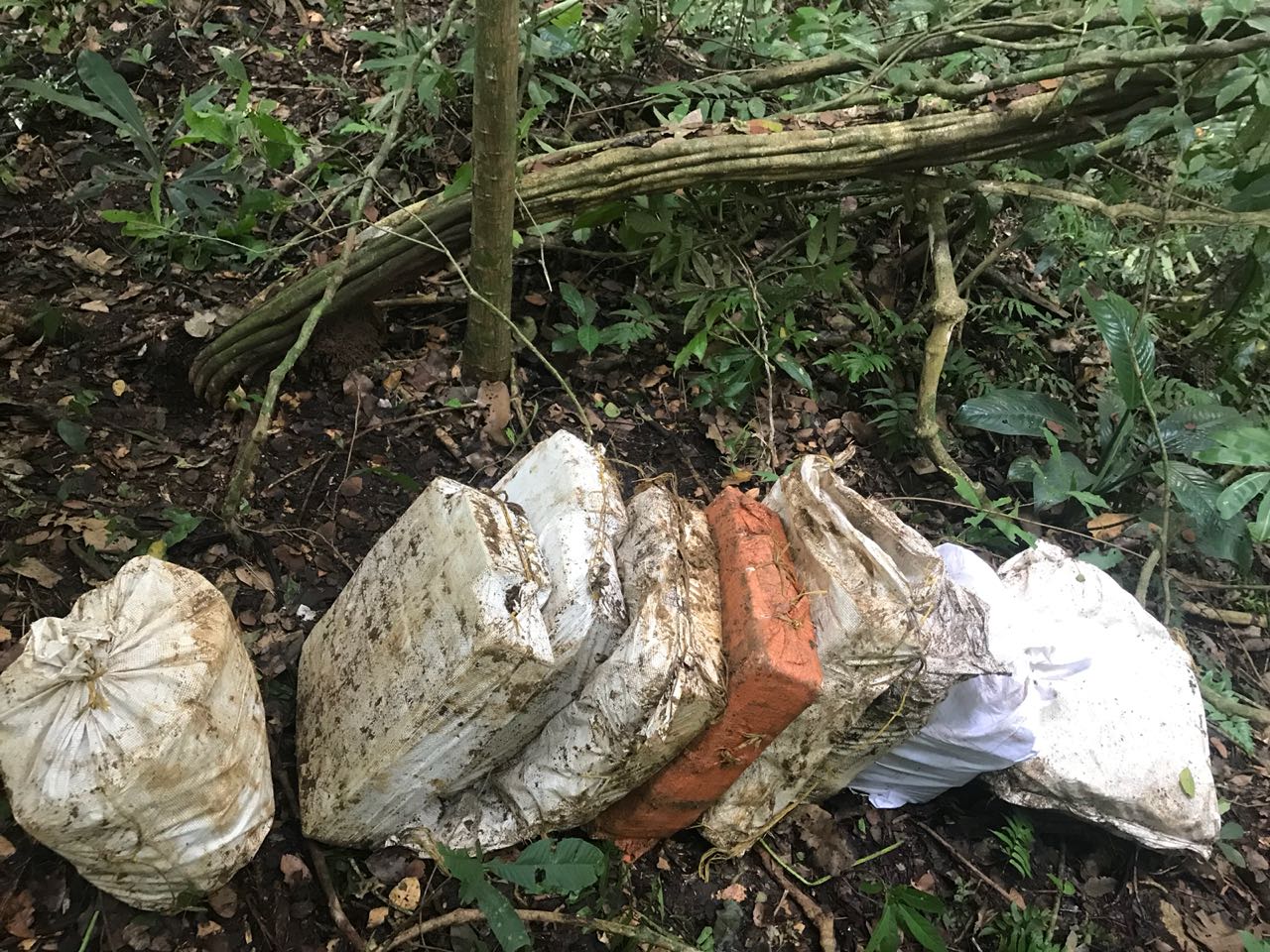 Incautamos-232-kilos-de-cocaína-en-Panamá Incautamos-232-kilos-de-cocaína-en-Panamá