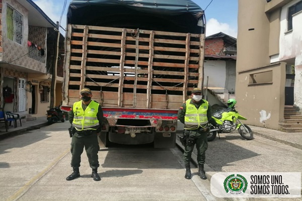 Incautamos-madera-en-el-municipio-de-Unión-Panamericana.