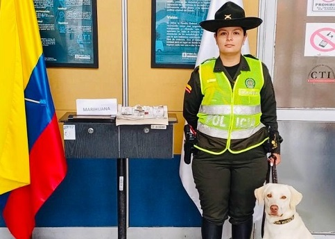 gracias al olfato de la canina Sam fue posible hallar las sustancias estupefacientes la canina Sam encontró droga dentro de un libro