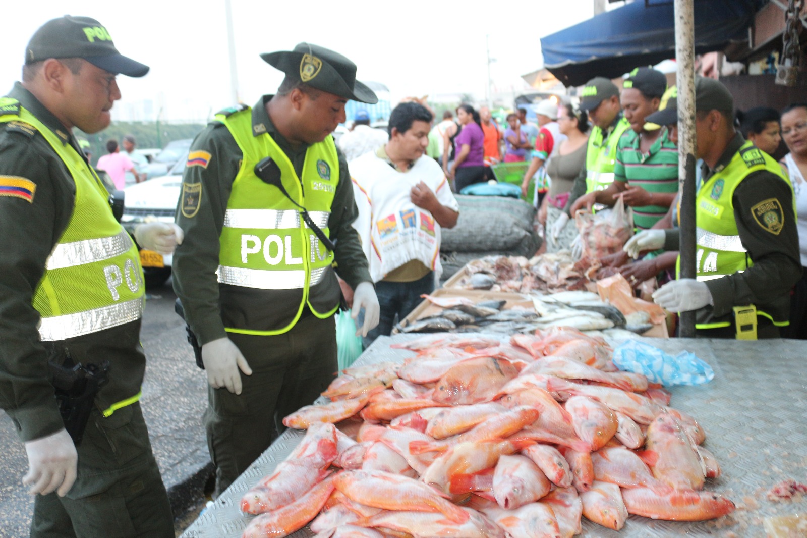 Realizamos-controles-a-ventas-de-pescado-en-el-mercado-de-bazurto Realizamos-controles-a-ventas-de-pescado-en-el-mercado-de-bazurto