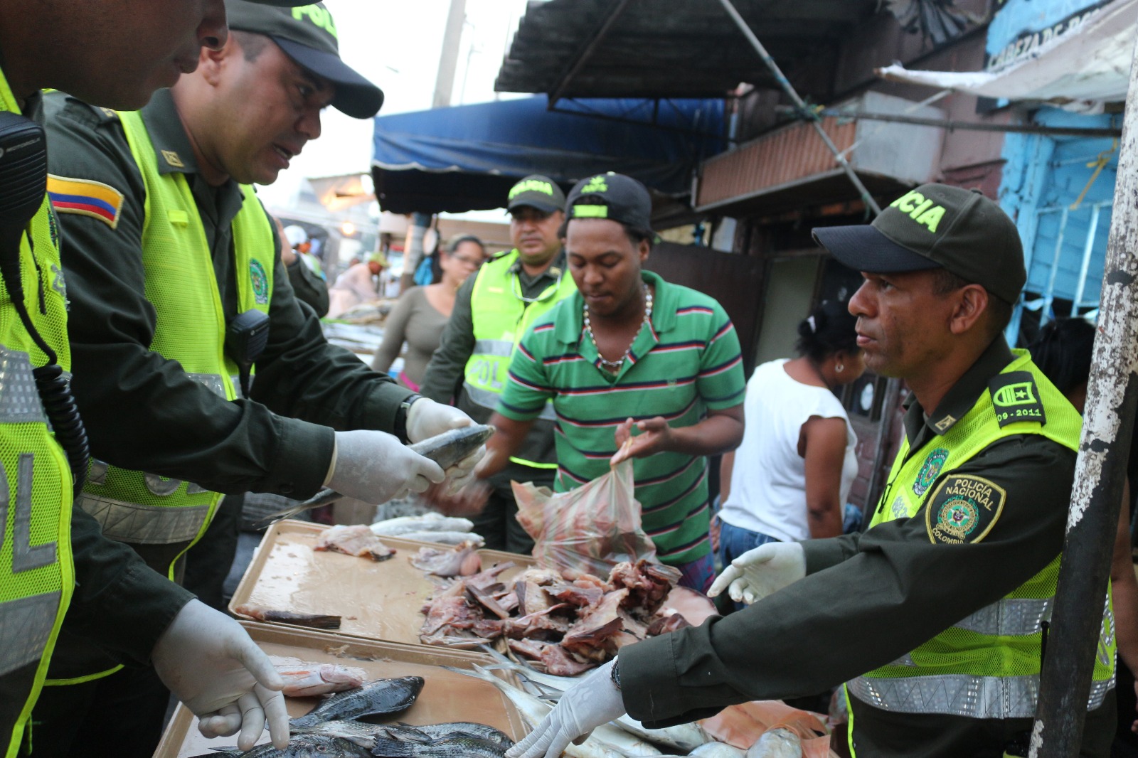 Realizamos-controles-a-ventas-de-pescado-en-el-mercado-de-bazurto Realizamos-controles-a-ventas-de-pescado-en-el-mercado-de-bazurto
