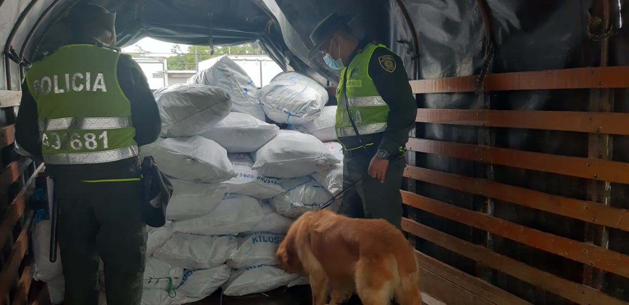 Unidos por el medio ambiente