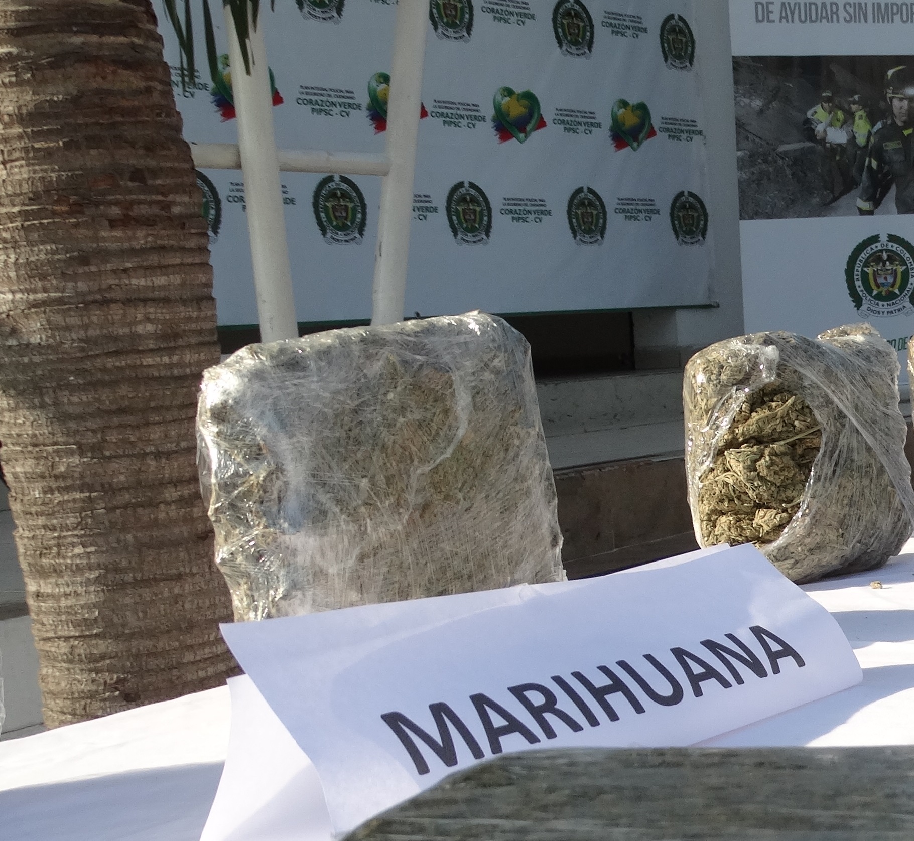 Incautados dos mil gramos de marihuana Incautados dos mil gramos de marihuana