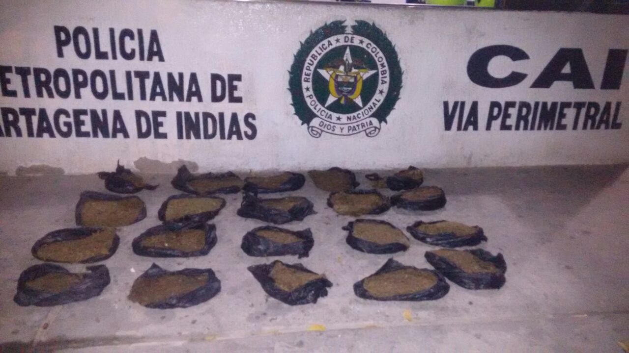 Sustancia-alucinogena-hallada Sustancia-alucinogena-hallada