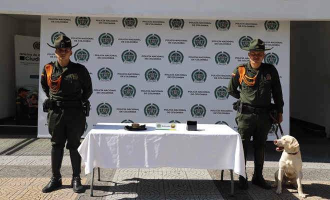 Perro antinarcóticos “Axel” detecta más de 1.500 gramos de marihuana en encomiendas en Manizales y Villamaría Perro antinarcóticos “Axel” detecta más de 1.500 gramos de marihuana en encomiendas en Manizales y Villamaría