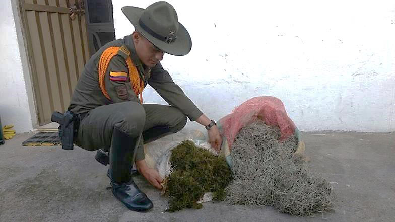 MUSGO-en el Potrerillo-policia controles MUSGO-navidad- en el Potrerillo-policia controles