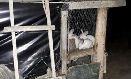 nino-rescatado-  nino-rescatado-en-tunja