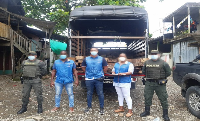 No paran los operativos para frenar la tala de árboles y el tráfico ilegal de madera No paran los operativos para frenar la tala de árboles y el tráfico ilegal de madera