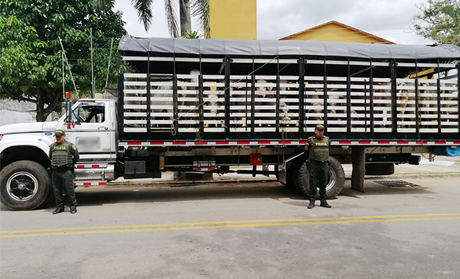 Combatimos el abigeato en el Meta