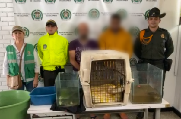 Ofensiva contra las redes dedicadas al tráfico de fauna silvestre y animales exóticos  Ofensiva contra las redes dedicadas al tráfico de fauna silvestre y animales exóticos