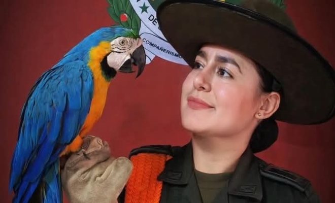 uniformado de la policía nacional sostiene un ave recuperada durante una acción de protección de fauna silvestre