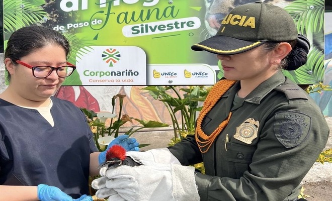 Polic&iacute;a de carabineros y ciudadana de CORPONARI&Ntilde;O con un Pajaro Carpintero Rescatado
