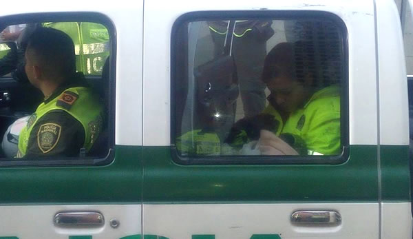 Patrullera recibe a una hermosa criatura en el oriente de Cali patrullera-recibe-aprto-cali