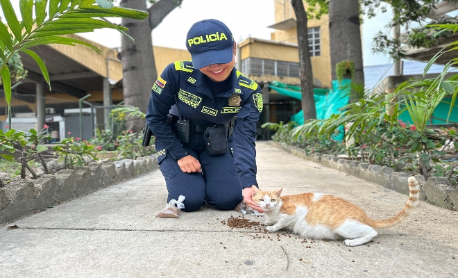 Polic&iacute;a alimentando un gato